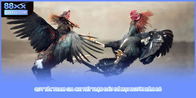 Quy tắc tham gia chi tiết trận đấu để mọi người nắm rõ